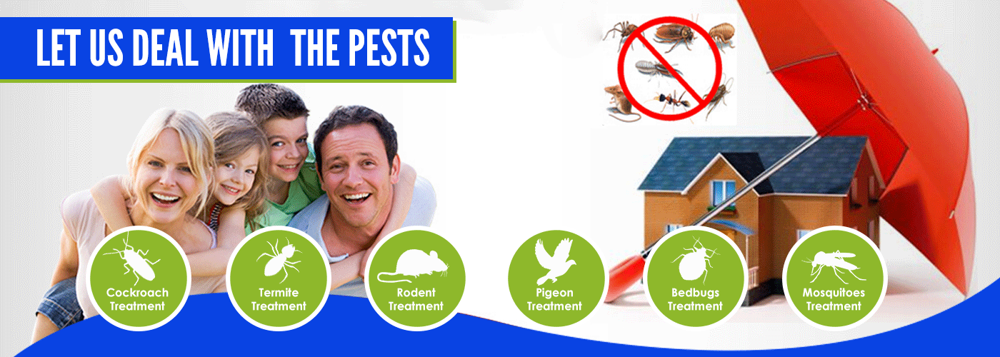 Termite Services near me